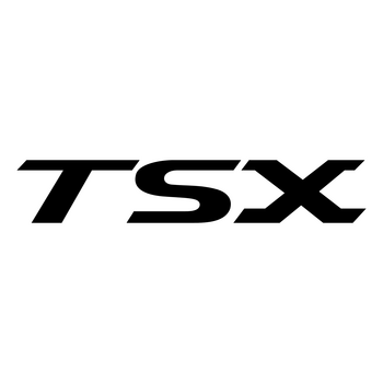 Tsx Logo PNG