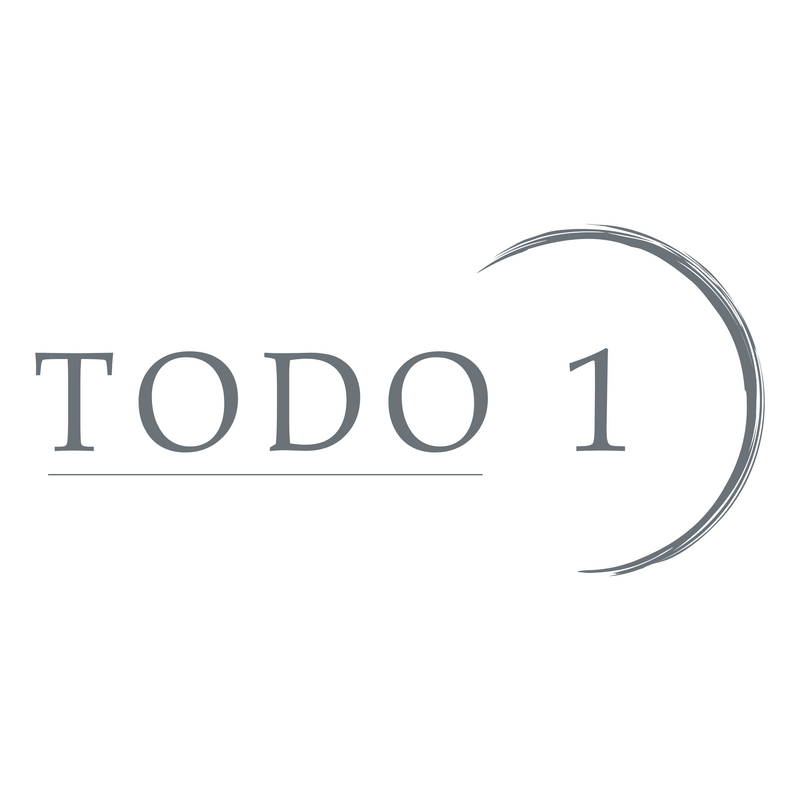Todo 1 Logo PNG Vector  PNG