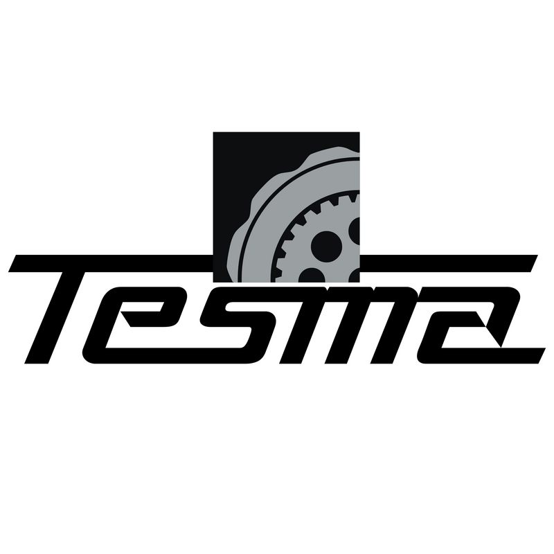 Tesma Logotyp PNG Vector  PNG