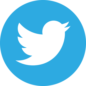 Twitter Icon Logo PNG Transparent