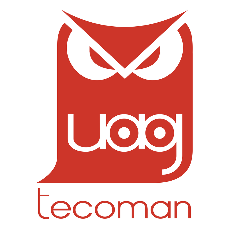 Tecoman Logo PNG Vector  PNG