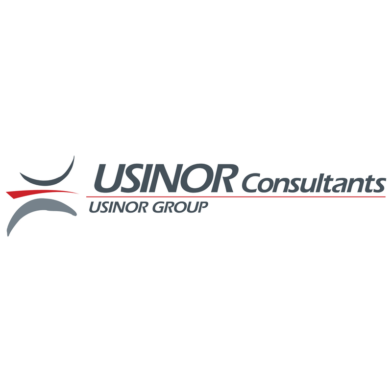 Usinor Consultants Logo PNG Vector  PNG