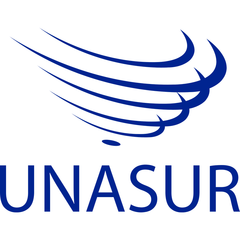 Logo Unasur PNG Vector, Icono