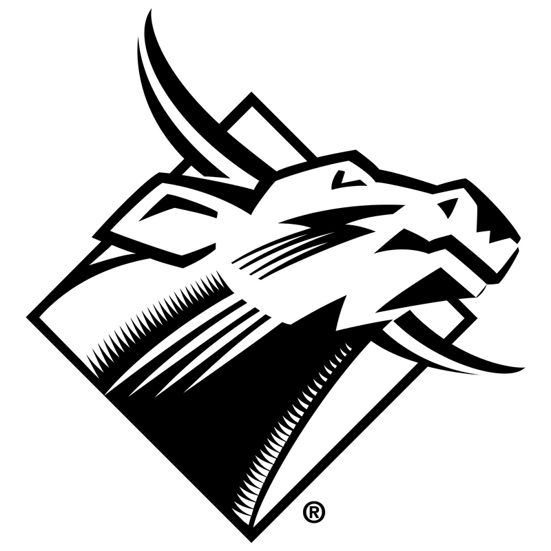 Usf Bulls Logo PNG Vector  PNG