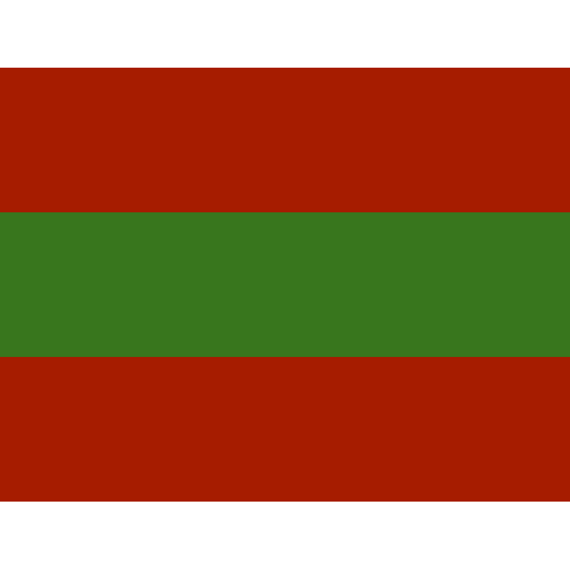 US Army 1st Battalion, 4th Infantry Regiment Beret Flash Logo PNG Vector  PNG