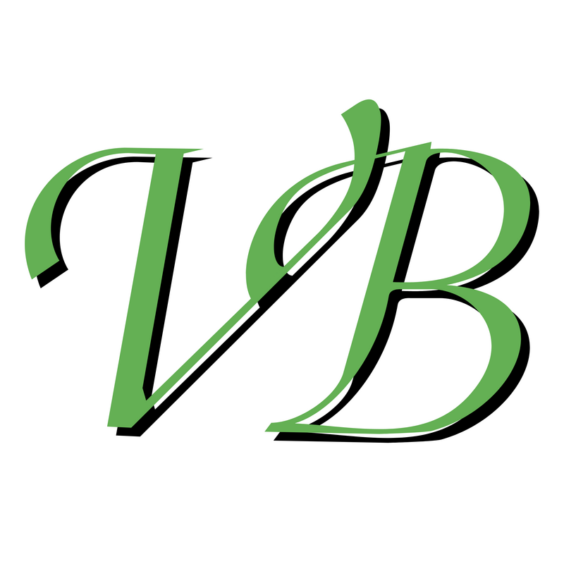Vb Logo PNG Vector  PNG