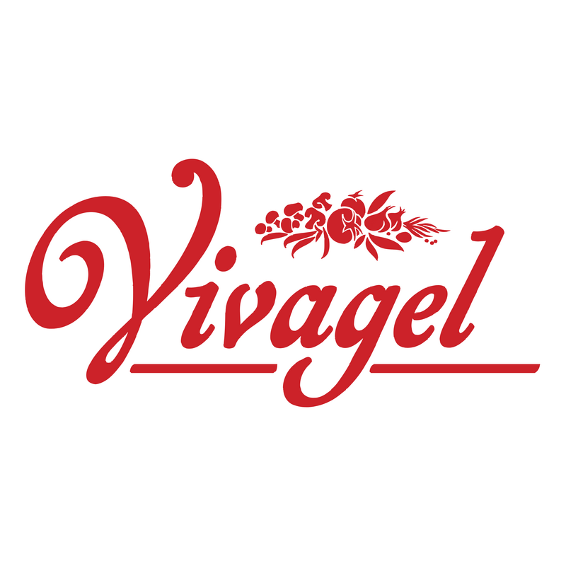 Vivagel Logo PNG Vector  PNG