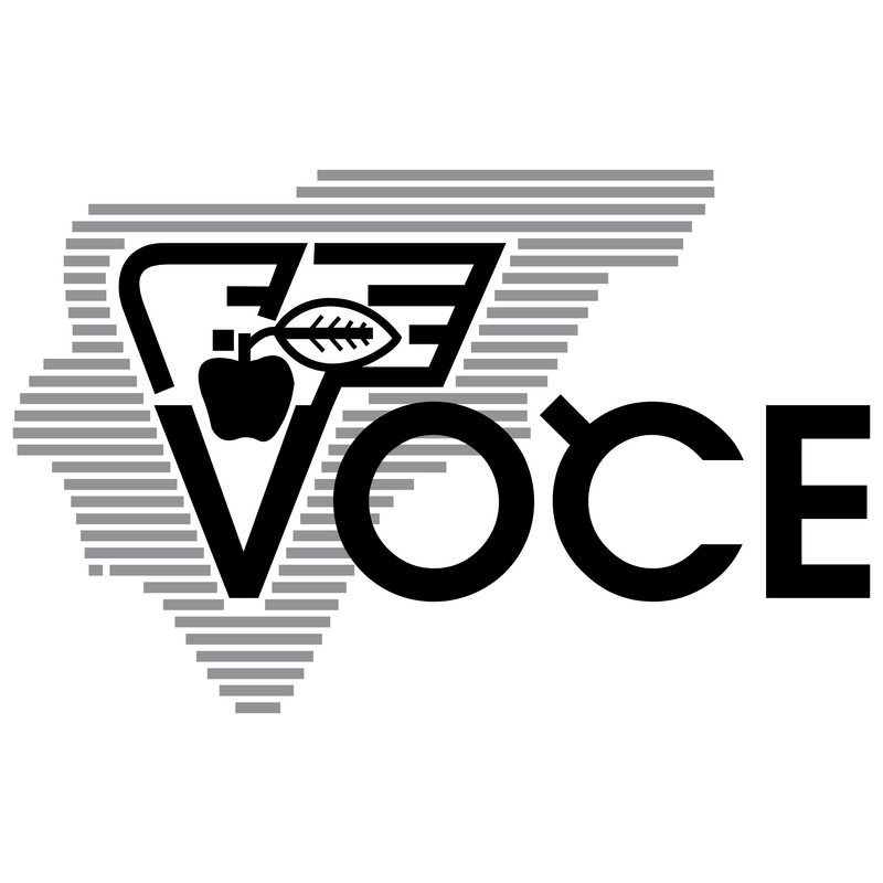 VOCE Logo PNG Vector  PNG