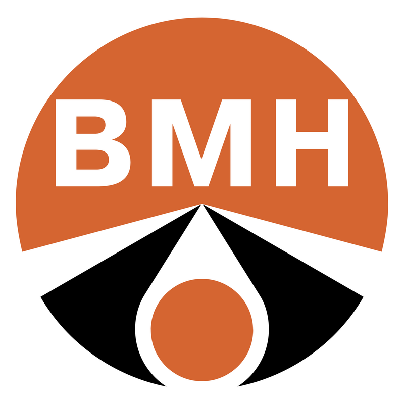 Vmn Logo PNG Vector  PNG