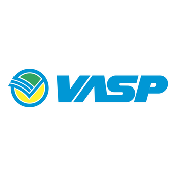 Vasp 标志 PNG