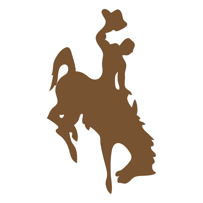 Wyoming Cowboys Logo PNG Vector, Icon