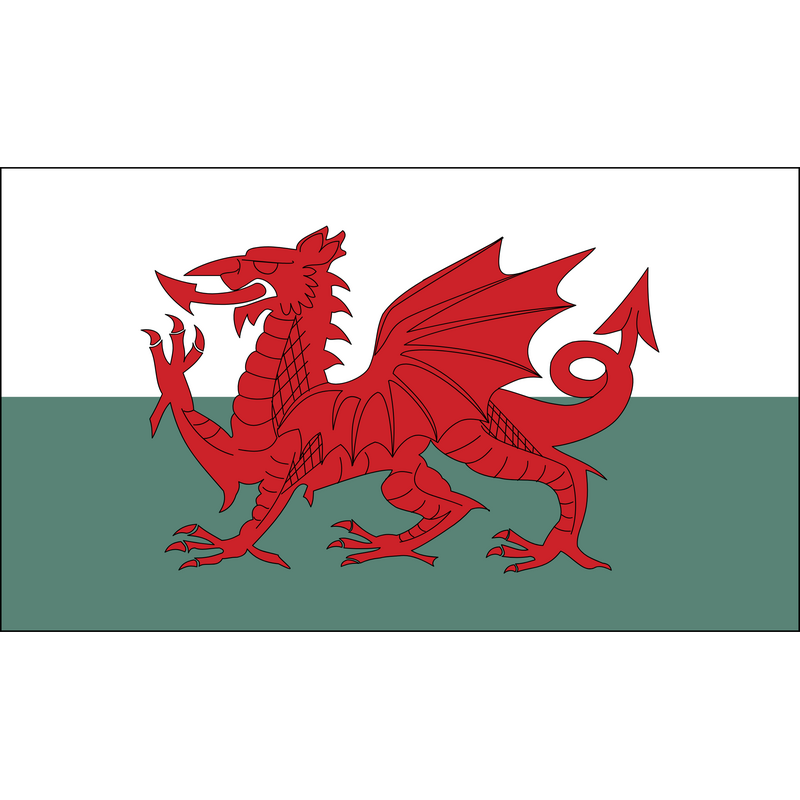 Flag of Wales Logo PNG Vector  PNG
