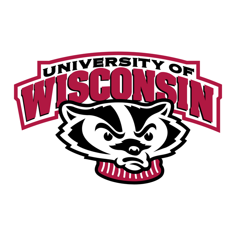 Wisconsin Badgers Logo PNG Vector  PNG