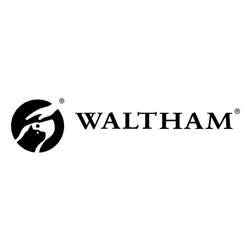 Waltham Logo PNG Vector  PNG