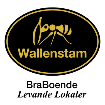 Wallenstam Logo PNG Şeffaf