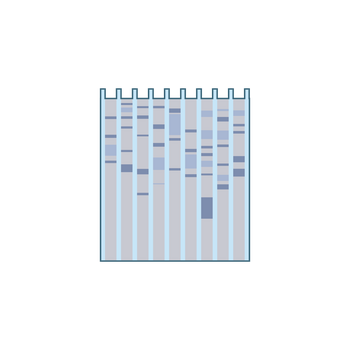 Western Blot Logo PNG