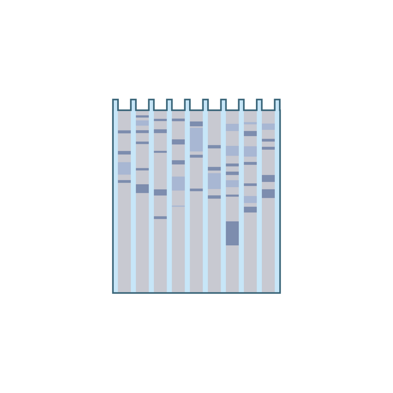 Western Blot Logo PNG Vector, Icon