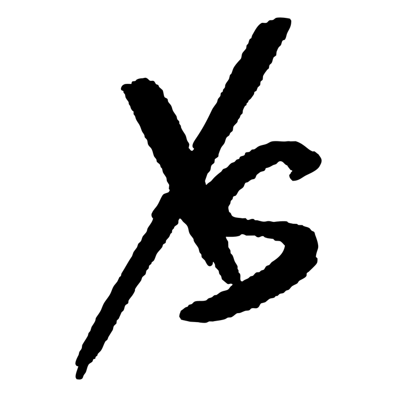 Xs 标志 PNG Vector  PNG