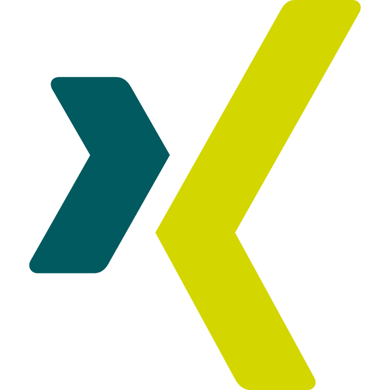 Xing Icon Logo PNG Vector  PNG
