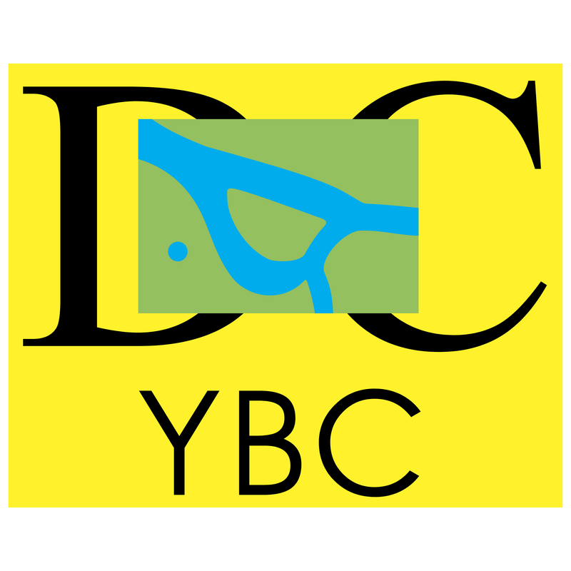 YBC Logo PNG Vector  PNG