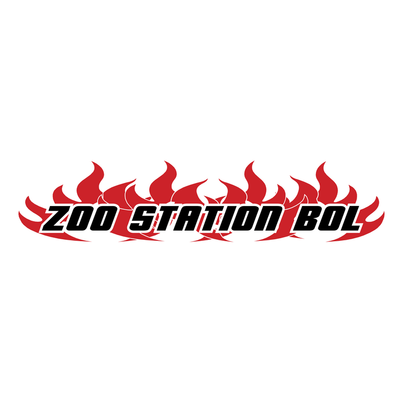 Zoo Station Windsurfing Логотип PNG Vector  PNG